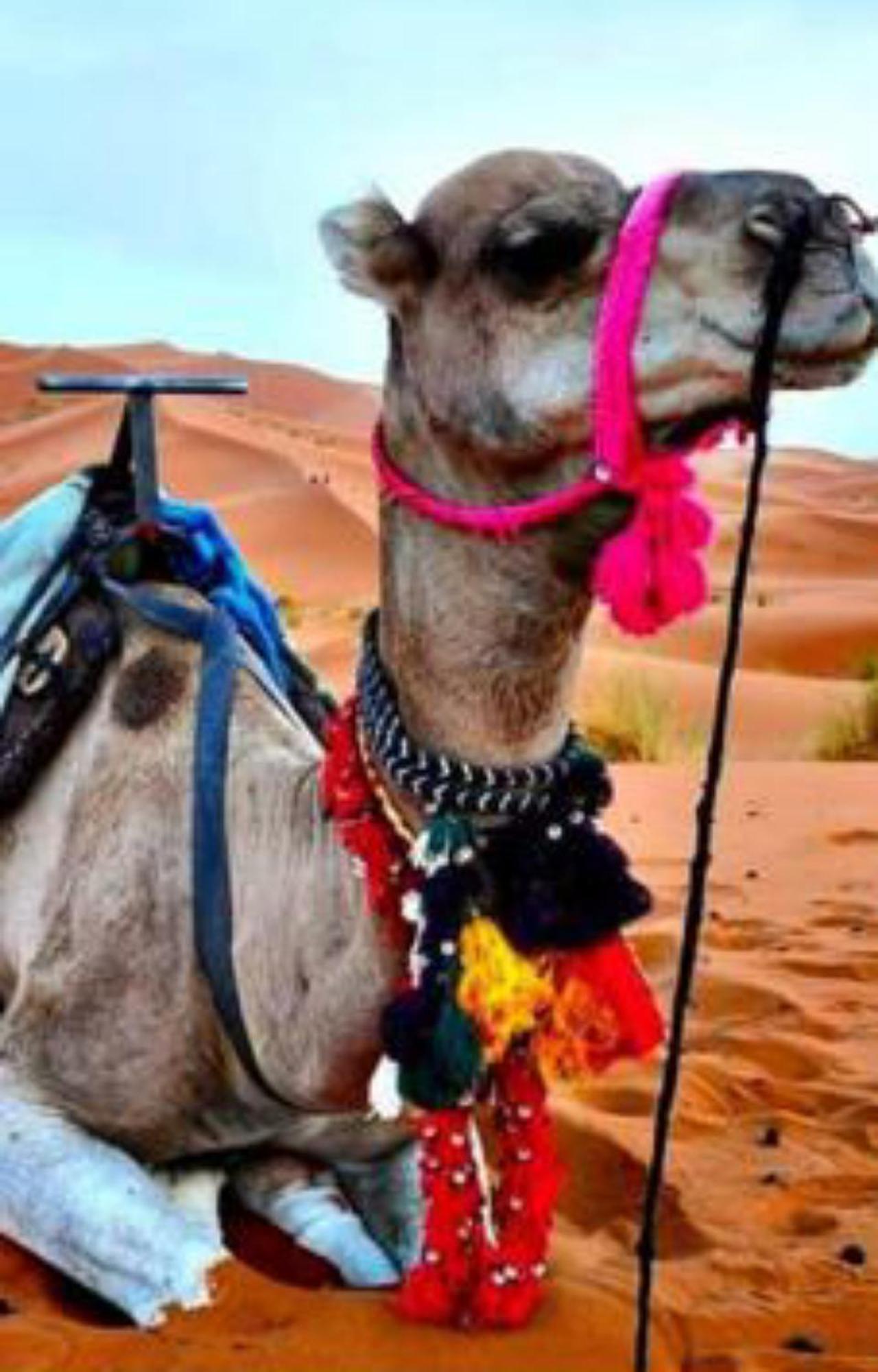 Luxury Desert Camp Мерзуга Экстерьер фото